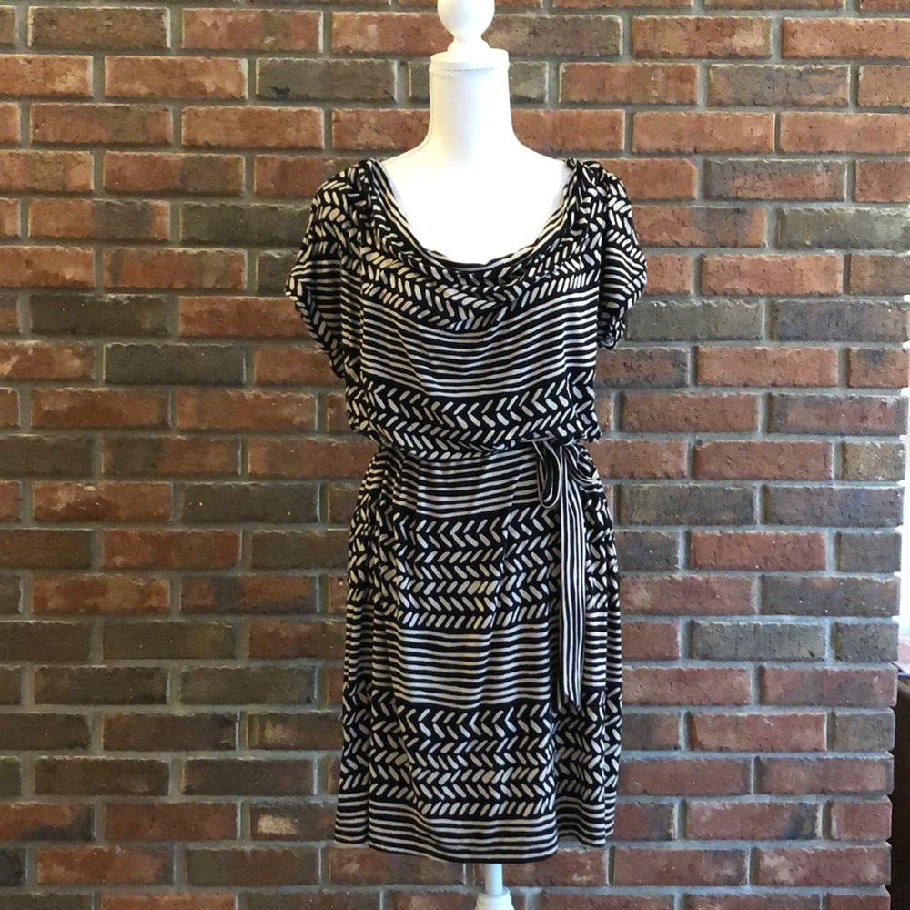 Anne Taylor Loft Dress